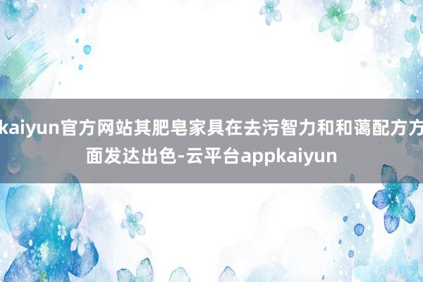 kaiyun官方网站其肥皂家具在去污智力和和蔼配方方面发达出色-云平台appkaiyun