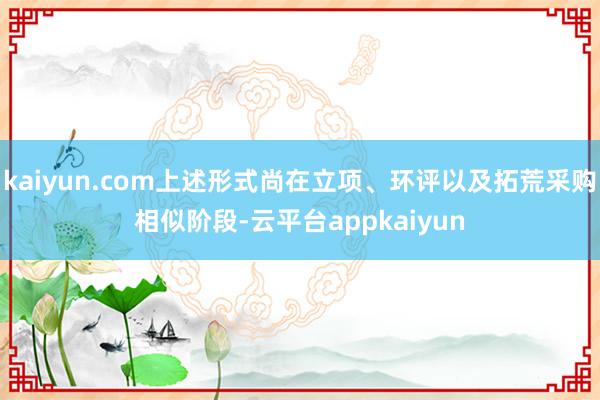 kaiyun.com上述形式尚在立项、环评以及拓荒采购相似阶段-云平台appkaiyun