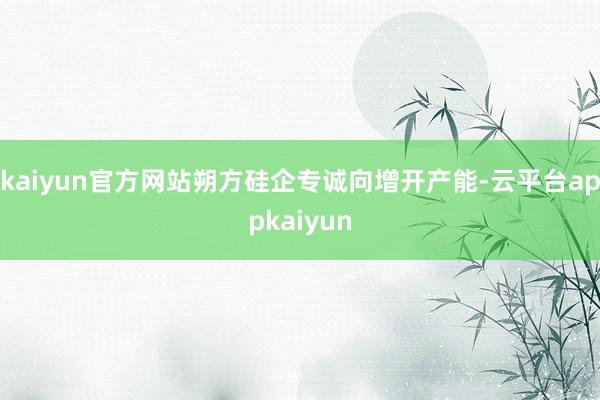 kaiyun官方网站朔方硅企专诚向增开产能-云平台appkaiyun